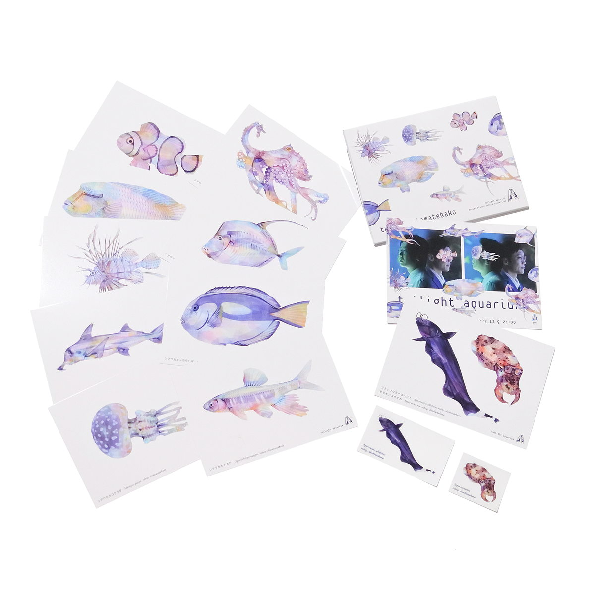 トワイライト玉手箱(ポストカード+ステッカー+αセット) – FANY MALL