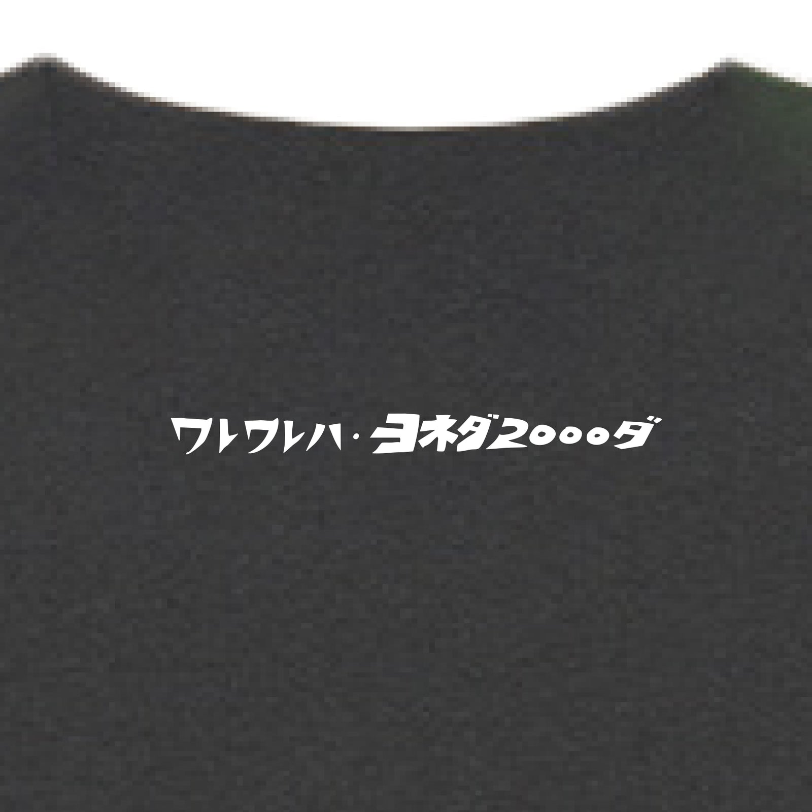 ヨネダ2000】刺繍Tシャツ – FANY Mall