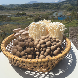 【Cheeky's store】よしもとカレー [しんしゅうなかの 三種のきのこ編]