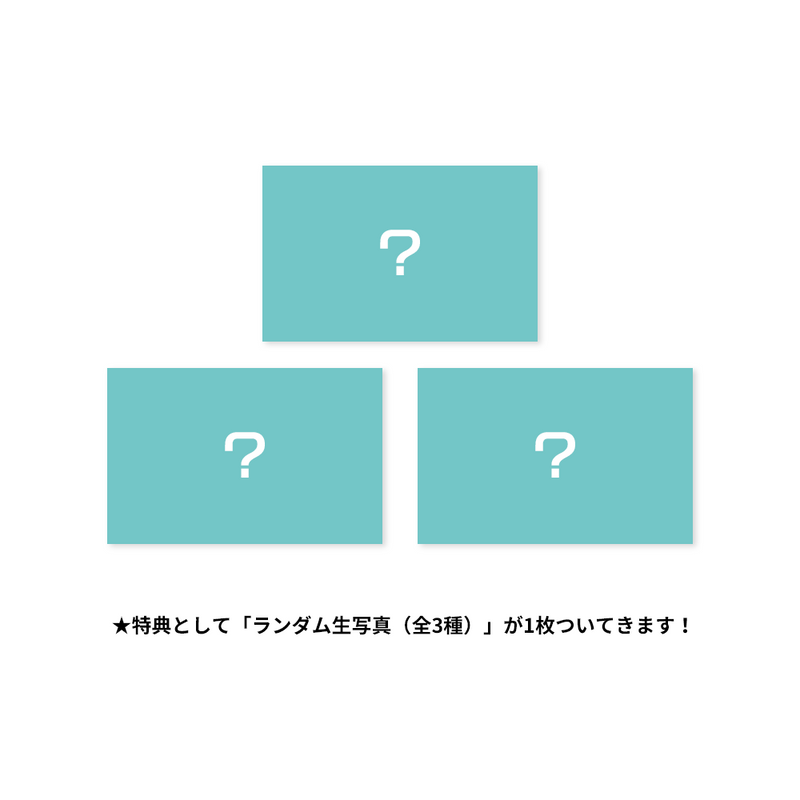 板橋ハウス　公式パンフレット