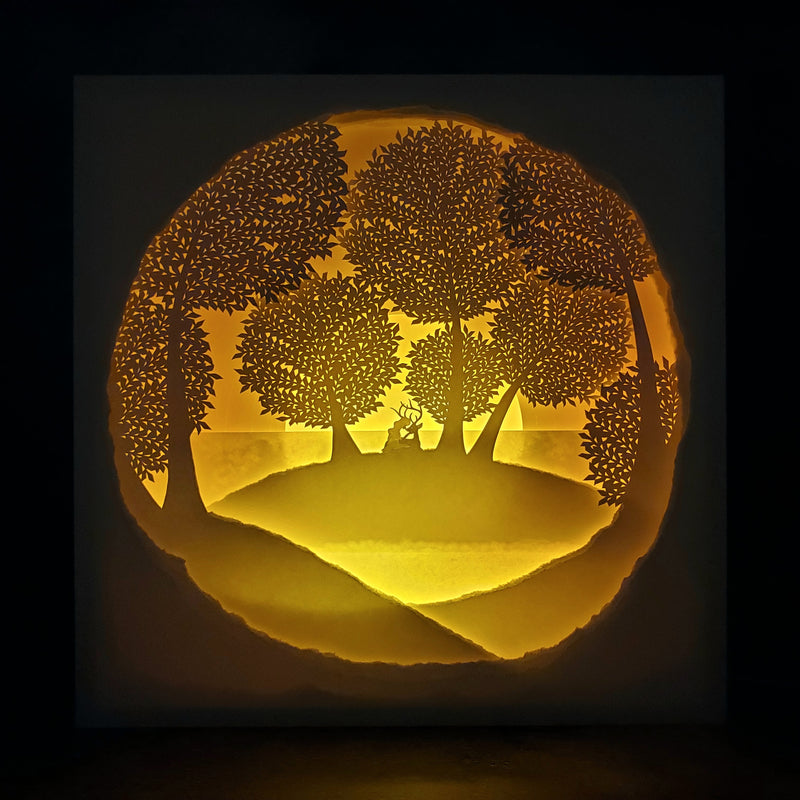 光の止まる場所