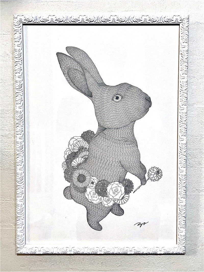 Rabbit