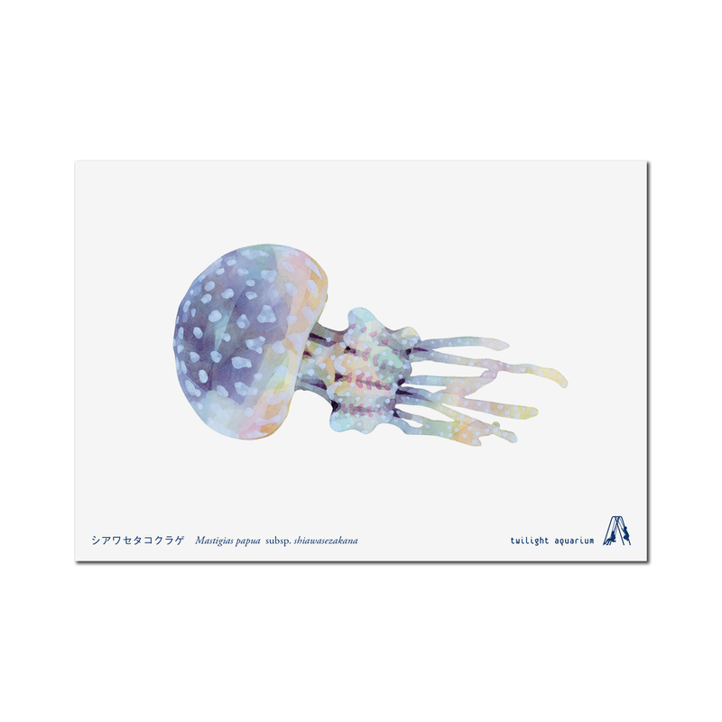 ダイタク ポストカード ステッカー 2025年最新】ダイタク ステッカーの ダイタク ポストカード ステッカー 2025年最新】ダイタク ステッカーの